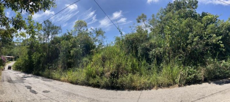 Casa en Venta en Altamira Rio Sereno, Chiriquí