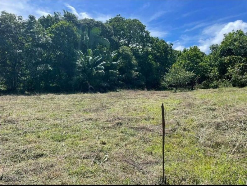 Terreno en Venta en Sona Lagartero, Veraguas