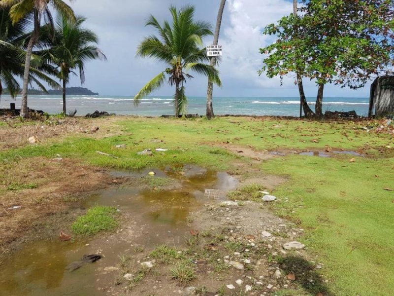 Terreno en Venta en  Palenque, Colón