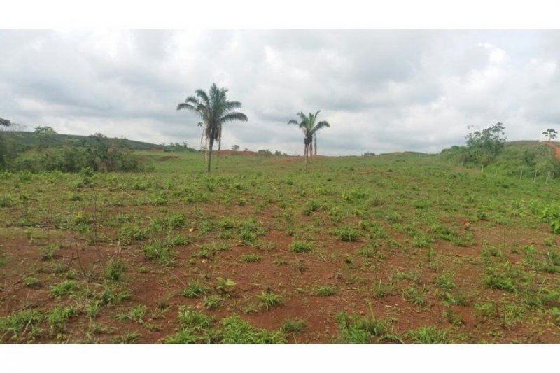 Foto Terreno en Venta en La Chorrera, Panamá - U$D 325.472 - TEV26176 - BienesOnLine