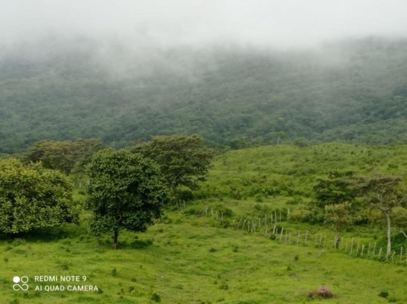 Finca en Venta en la estrella la estrella, Chiriquí