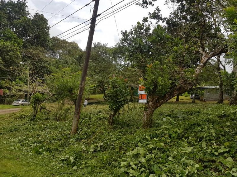 Foto Terreno en Venta en Chilibre, Panamá - U$D 55.000 - TEV20938 - BienesOnLine