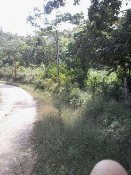 Foto Terreno en Alquiler en Penonomé, Coclé - U$D 2.500 - TEA5253 - BienesOnLine