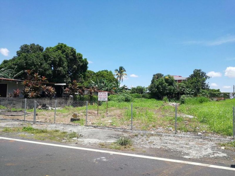 Foto Terreno en Venta en Ciudad Radial, Ciudad Radial, Panamá - U$D 90.000 - TEV46483 - BienesOnLine