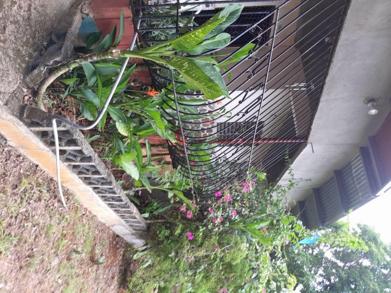 Casa en Venta en La pintada El Potrero, Coclé