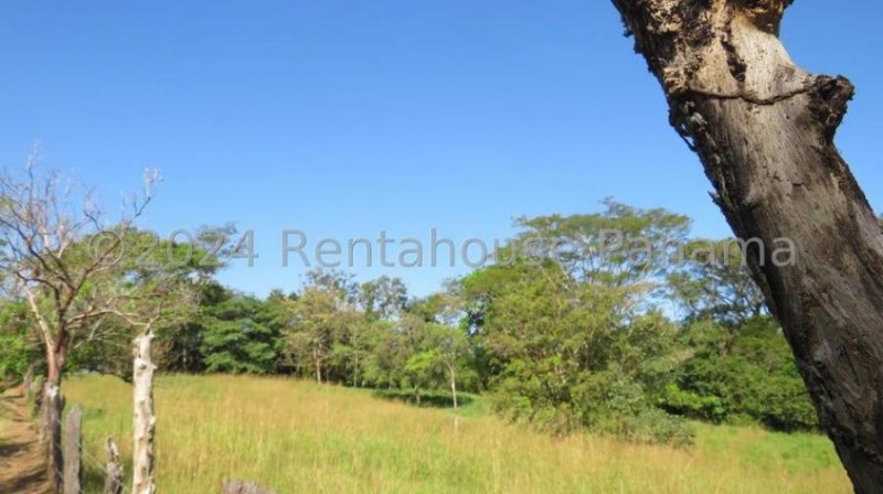 Foto Terreno en Venta en Quiteño, las  lomas, Chiriquí - 9 hectareas - U$D 200.000 - TEV71434 - BienesOnLine