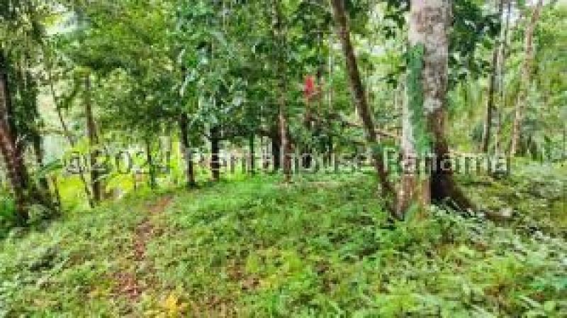 Terreno en Venta en  Changuinola, Bocas del Toro