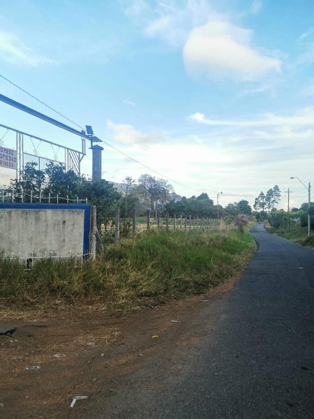 Foto Finca en Venta en Los Cabezos, Chiriquí - 24 hectareas - U$D 3.500.000 - FIV50507 - BienesOnLine