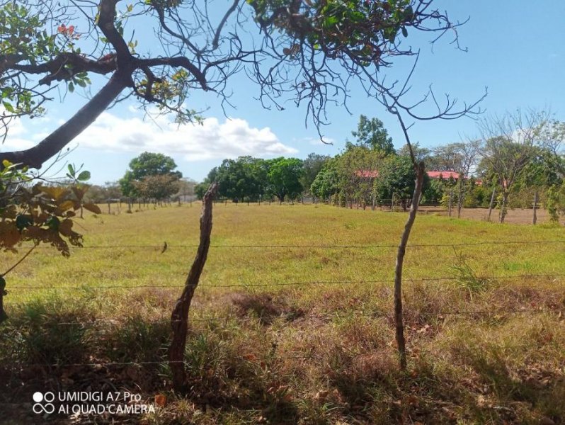 Terreno en Venta en La Candelaria Río Grande, Coclé