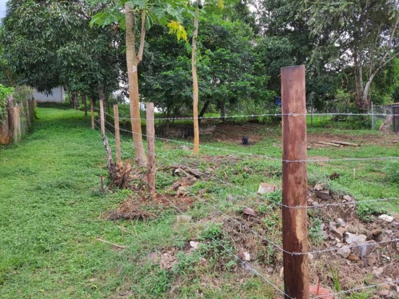 Terreno en Venta en  Las Tablas, Los Santos