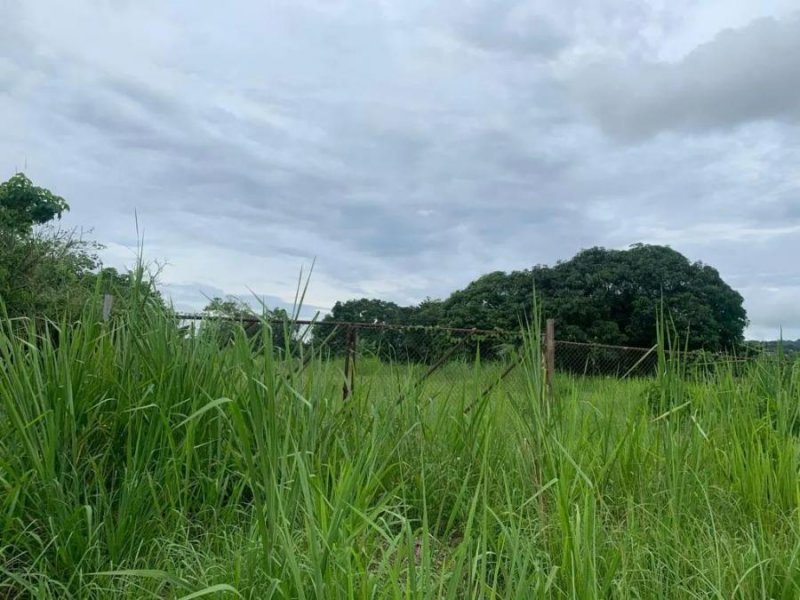 Foto Terreno en Venta en Ciudad de Panamá, Panamá - U$D 1.100.000 - TEV60215 - BienesOnLine