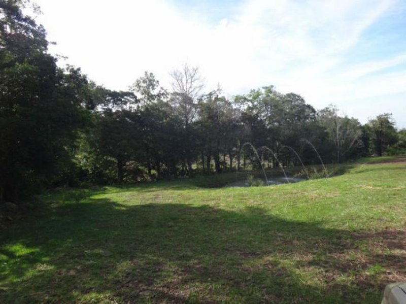 Foto Terreno en Venta en Boquete, , Chiriquí - 14 hectareas - U$D 2.660.000 - TEV6419 - BienesOnLine