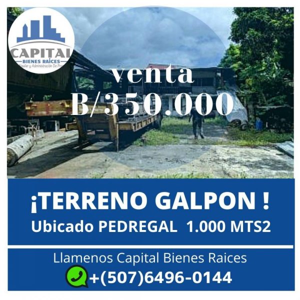 Foto Terreno en Venta en Pedregal, Panamá - U$D 350.000 - TEV32623 - BienesOnLine