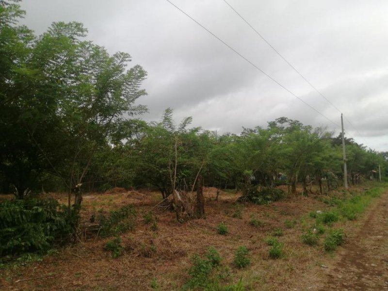 Terreno en Venta en Boquete Alto Boquete, Chiriquí