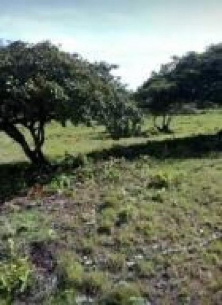 Terreno en Venta en Aguadulce Aguadulce, Coclé