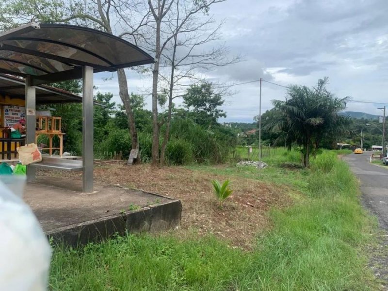 Foto Terreno en Venta en panama, Panamá - U$D 1.100.000 - TEV60501 - BienesOnLine