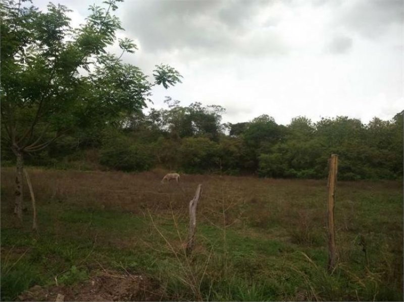 Foto Terreno en Venta en Chame, Panamá - 5 hectareas - U$D 1.750.000 - TEV4708 - BienesOnLine