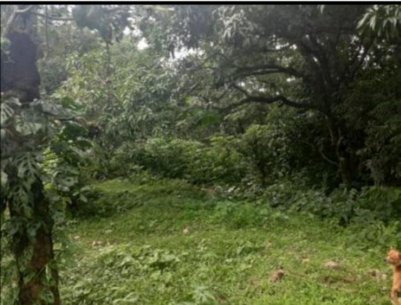 Terreno en Venta en Chilibre Chilibre, Panamá