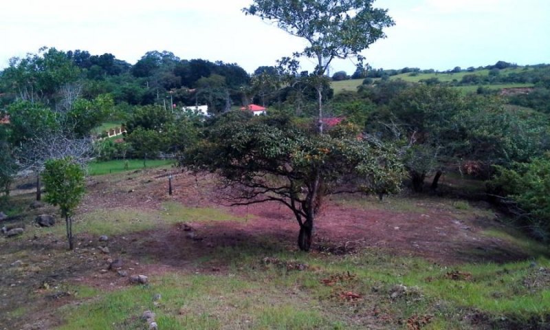 Terreno en Venta en El Espino San Carlos, Panamá