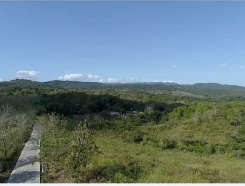 Foto Terreno en Venta en Las Cumbres, Ciudad de Panamá, Panamá - U$D 10.500.000 - TEV74942 - BienesOnLine