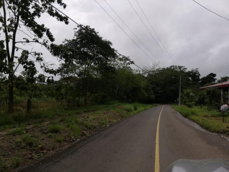 Terreno en Venta en Don Bosco Chilibre, Panamá