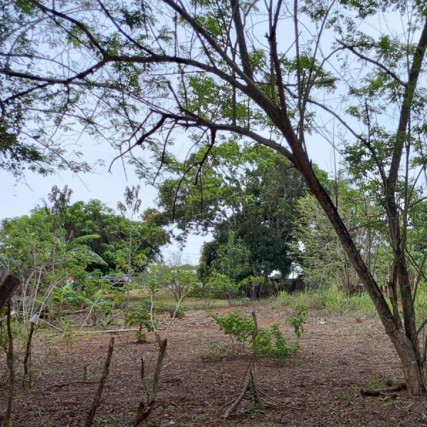 Foto Terreno en Venta en Guadalupe, La Herradura, Panamá - U$D 25.000 - TEV41433 - BienesOnLine