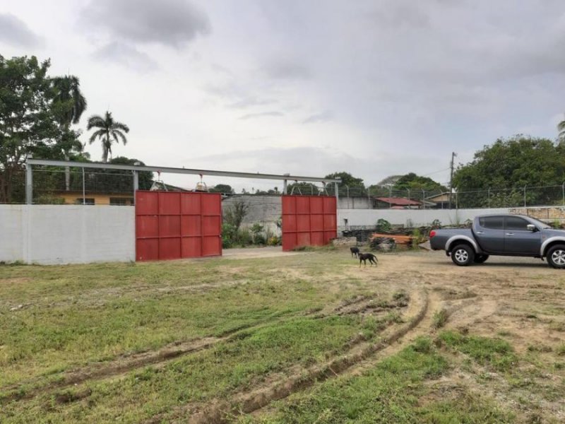 Foto Terreno en Alquiler en RIO ABAJO, Panamá - U$D 8.000 - TEA36997 - BienesOnLine