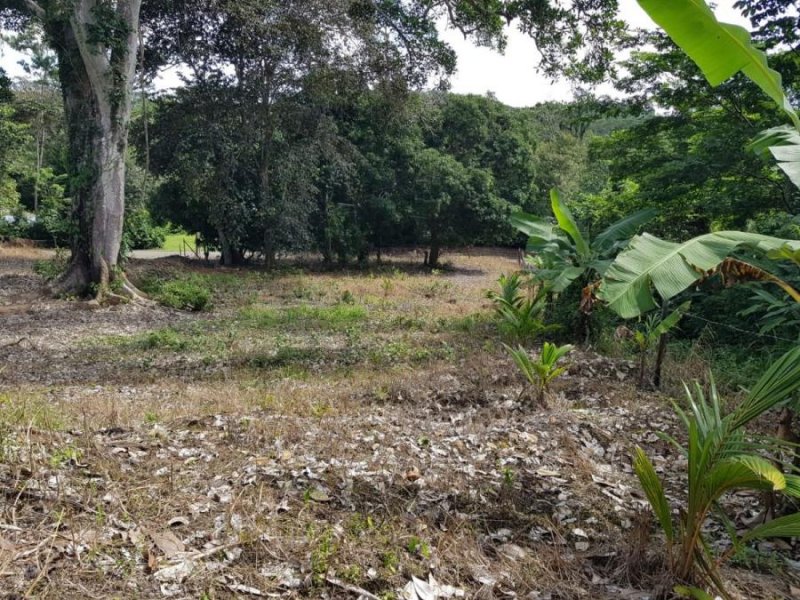 Foto Terreno en Venta en Cerro Silvestre, Arraiján, Panamá - U$D 140.000 - TEV44253 - BienesOnLine