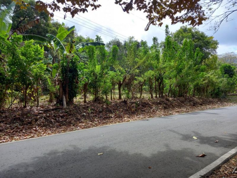 Foto Terreno en Venta en Campana, Capira, Panamá - U$D 21.000 - TEV47621 - BienesOnLine