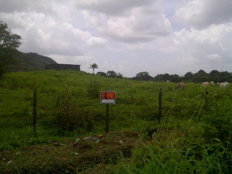 Foto Terreno en Venta en CHILIBRE, Chilibre, Panamá - 13 hectareas - U$D 1.800.000 - TEV2821 - BienesOnLine