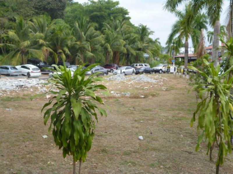 Foto Terreno en Alquiler en Ciudad de Panamá, Panamá - U$D 3.000 - TEA5254 - BienesOnLine