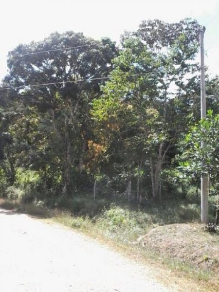 Foto Terreno en Alquiler en El Coco, Panamá - U$D 2.500 - TEA6634 - BienesOnLine