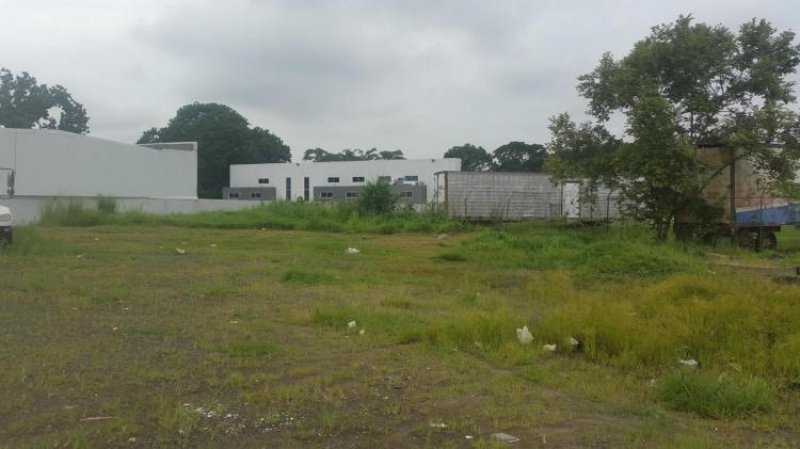 Foto Terreno en Alquiler en Tocumen, Panamá - U$D 1.500 - TEA9434 - BienesOnLine