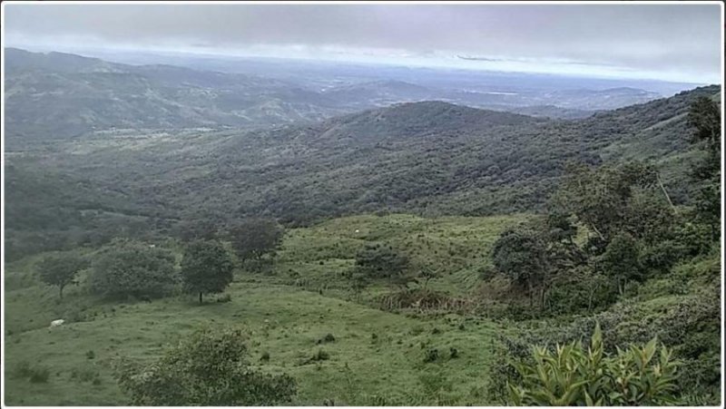 Terreno en Venta en caldera Bajo Boquete, Chiriquí