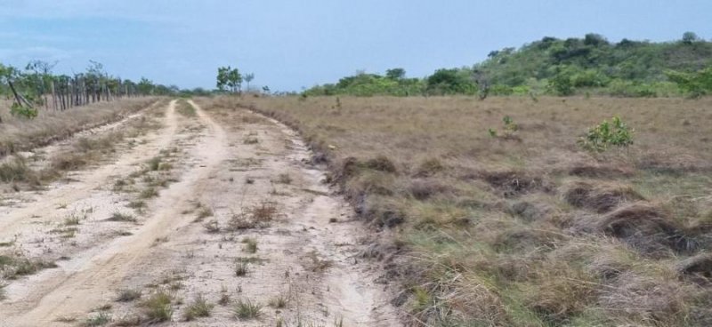 Terreno en Venta en Juan Díaz Panama, Coclé