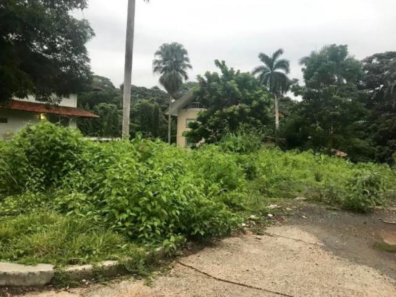 Foto Terreno en Venta en Albrook, Panamá - U$D 420.000 - TEV29020 - BienesOnLine