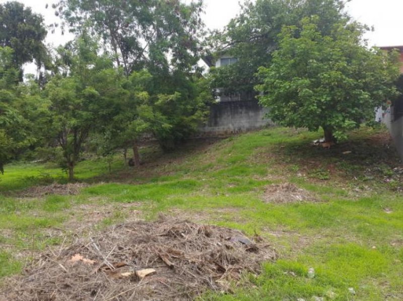 Foto Terreno en Venta en Betania, Panamá - U$D 255.000 - TEV7419 - BienesOnLine