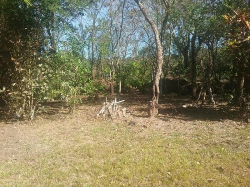 Foto Terreno en Venta en Bisvalles, Bisvalles, Veraguas - U$D 450.000 - TEV72174 - BienesOnLine