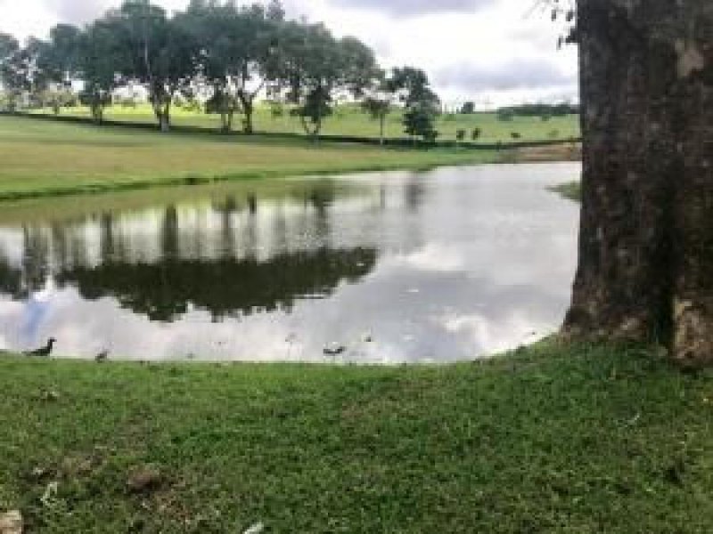 Foto Terreno en Venta en Brisas del Golf, Panamá - U$D 120.000 - TEV54552 - BienesOnLine