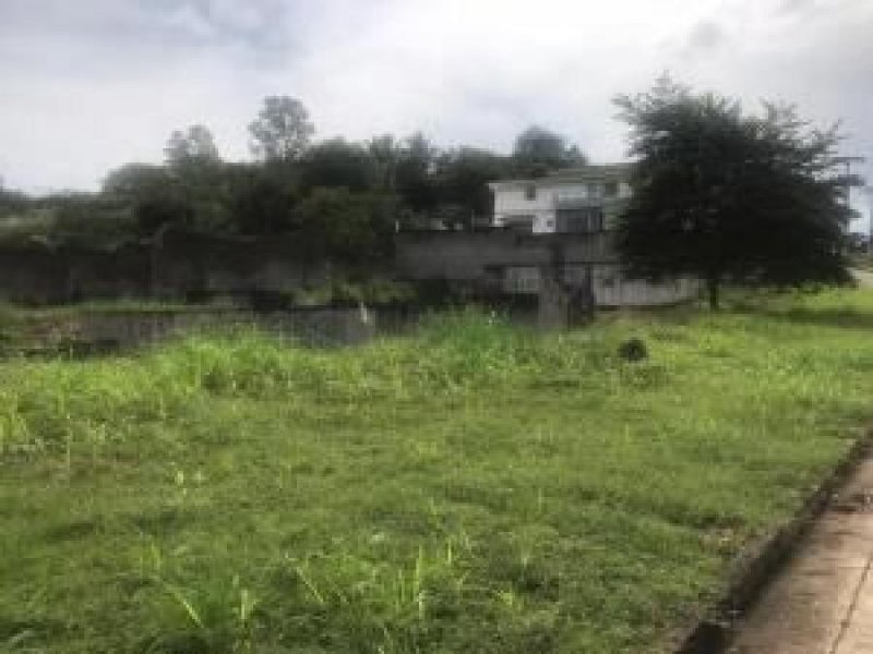 Foto Terreno en Venta en Brisas del Golf, Panamá - U$D 120.000 - TEV54951 - BienesOnLine