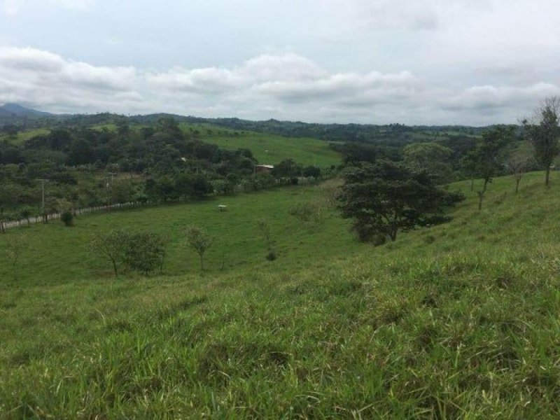 Foto Terreno en Venta en Chorrera, La Chorrera, Panamá - U$D 1.680.000 - TEV71073 - BienesOnLine