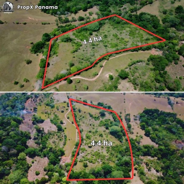 Foto Terreno en Venta en Las Mendoza, Panamá Oeste, Panamá - 4 hectareas - U$D 160.000 - TEV73680 - BienesOnLine