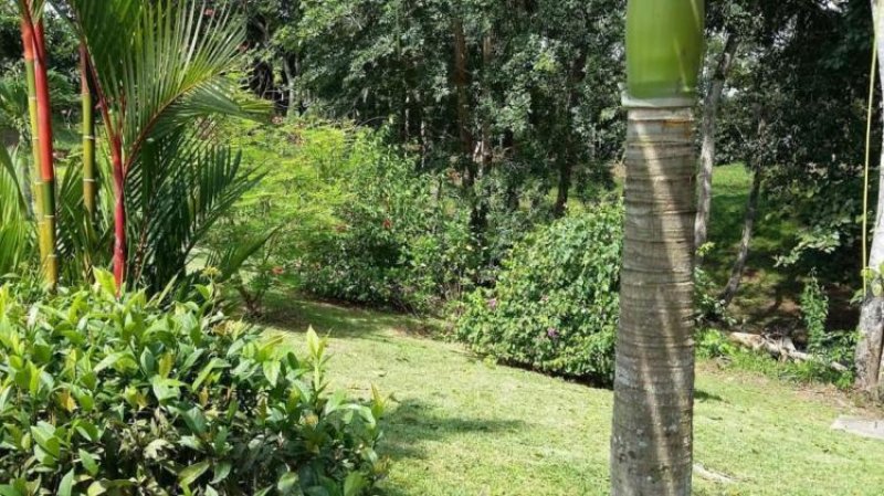 Foto Terreno en Venta en La Chorrera, Panamá - U$D 74.077 - TEV5318 - BienesOnLine