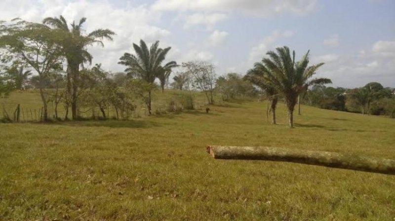 Foto Terreno en Venta en Arraiján, Panamá - U$D 1.120.000 - TEV4841 - BienesOnLine