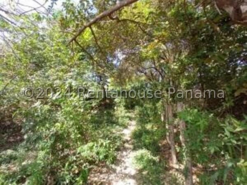 Foto Terreno en Venta en Chame, Veraguas - U$D 40.000 - TEV72467 - BienesOnLine