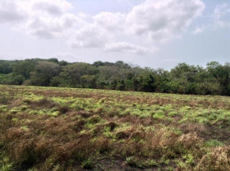 Foto Terreno en Venta en , Panamá - U$D 15.000.000 - TEV6859 - BienesOnLine