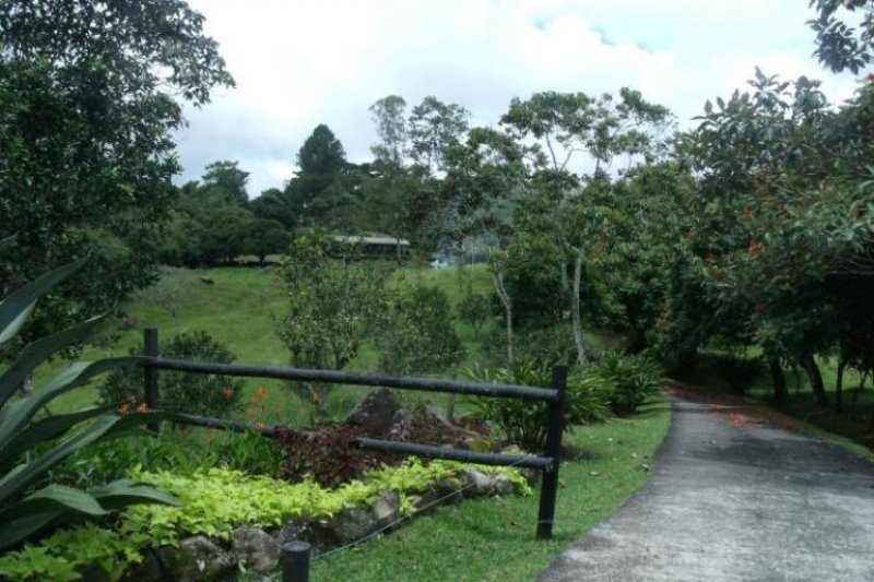 Foto Terreno en Venta en Chiriquí, Chiriquí - U$D 1.309.481 - TEV6809 - BienesOnLine