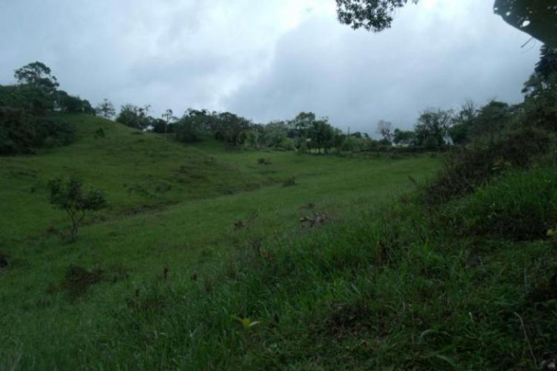 Foto Terreno en Venta en Chiriquí, Chiriquí - U$D 945.000 - TEV6784 - BienesOnLine