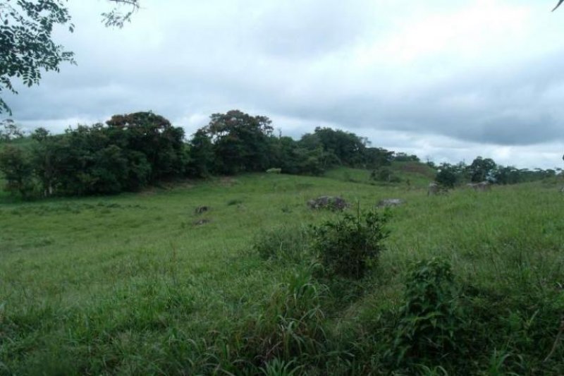 Foto Terreno en Venta en , Panamá - U$D 135.000 - TEV6698 - BienesOnLine