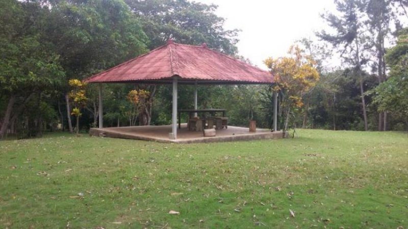 Foto Terreno en Venta en , Panamá - U$D 350.000 - TEV6733 - BienesOnLine